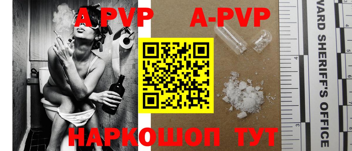 Новороссийск  Альфа ПВП СК  Вход с VPN 