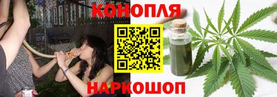 не бодяженный Гай