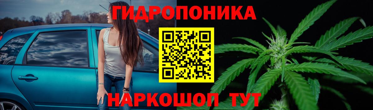 Конопля семена  Шишки марихуана конопля  Вход с VPN  Шишки марихуана SATIVA & INDICA  Новороссийск 